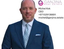 Agent Michel Kok