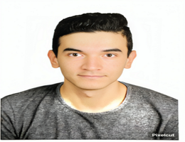 Mohamad Wael Abd Elaziz 
