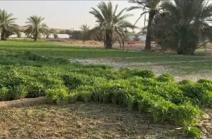 Land - Studio for rent in Murqquab - Dubai