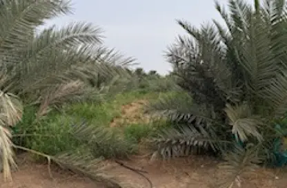Farm - Studio for sale in Al Khaznah - Al Ain