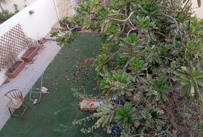 14905216 - الصورة الرئيسية للعقار